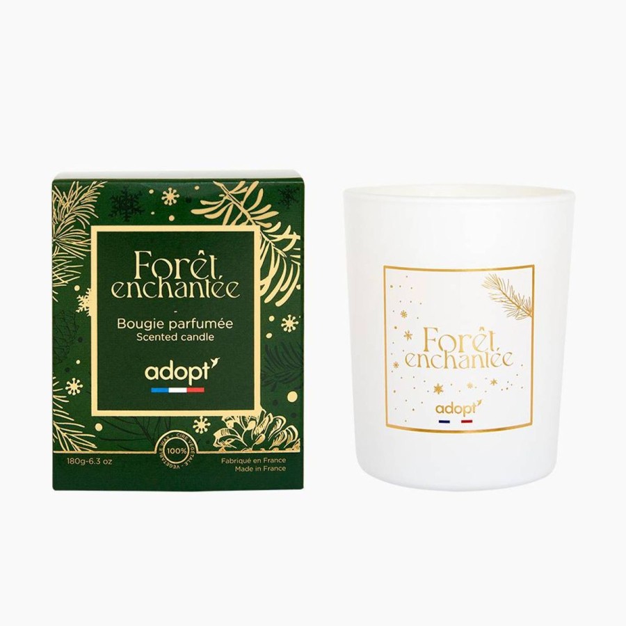 Adopt Scented Candle | Foret Enchantee